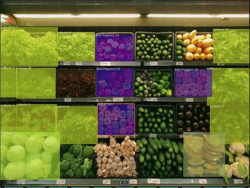 A Deep Dive into Computer Vision: Mastering Bounding Boxes, Polygons, and Semantic Segmentation with Scematics