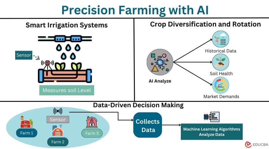 A Guide to Computer Vision in Agriculture: Mastering Data Annotation for Precision Farming with Scematics