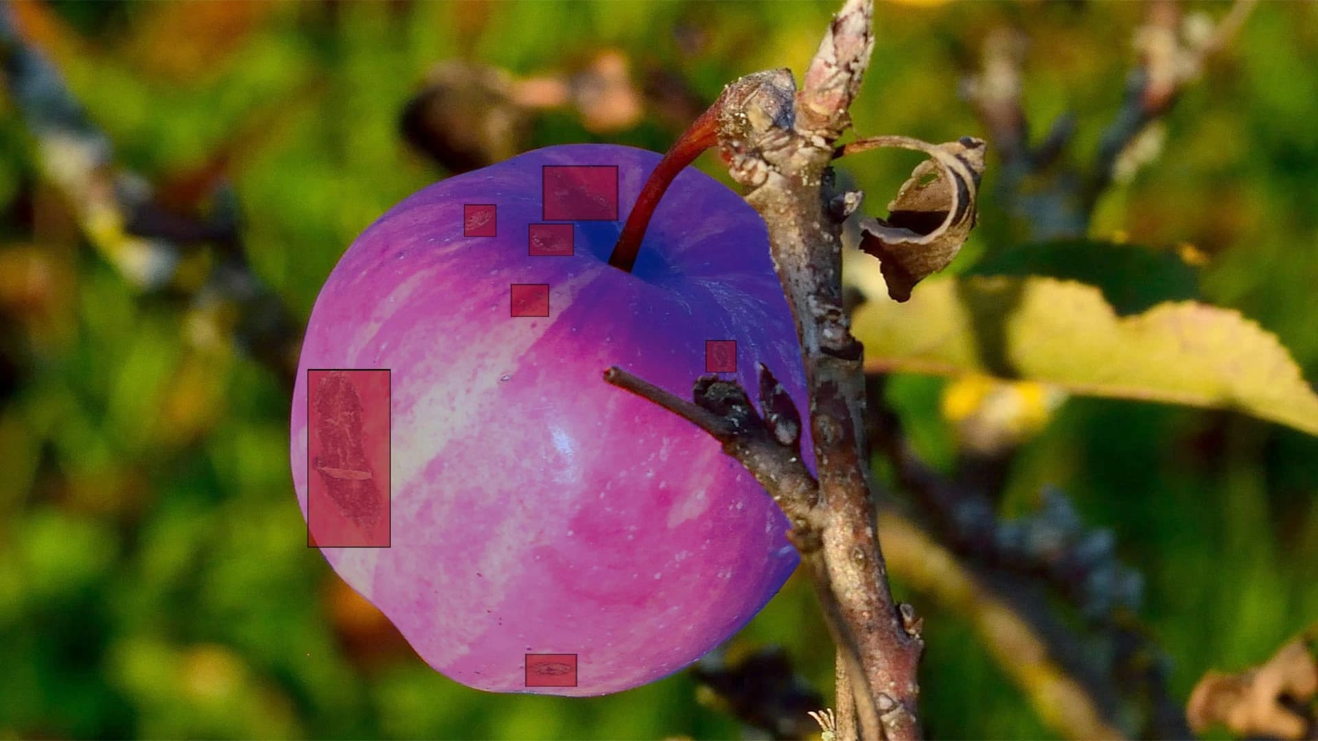 A Guide to Computer Vision in Agriculture: Mastering Data Annotation for Precision Farming with Scematics